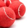 Magicorange Tennis Balls, 30 Pack Advanced Training Tennis Balls Practice Balls, Come with Mesh Bag for Easy Transport, Good for Beginner Training Ball (Red) view 3