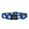 Kentucky Wildcats Collars and Leashes | Officially Licensed | Fits All Pets! (Medium Collar) view 1