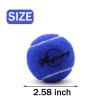 Magicorange Tennis Balls, 30 Pack Advanced Training Tennis Balls Practice Balls, Come with Mesh Bag for Easy Transport, Good for Beginner Training Ball (Dark Blue) view 4