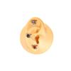 16g Surgical Steel Ear Cartilage Earring Heart Silver CZ Devil Horns Dainty Stud Earrings Tragus Helix Barbell Conch Piercing Jewelry for Women view 2