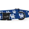 Kentucky Wildcats Collars and Leashes | Officially Licensed | Fits All Pets! (Large Collar) view 3