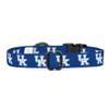 Kentucky Wildcats Collars and Leashes | Officially Licensed | Fits All Pets! (Large Collar) view 4