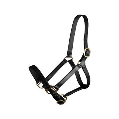 Gatsby Adj Turnout Halter No Snap Oversize
