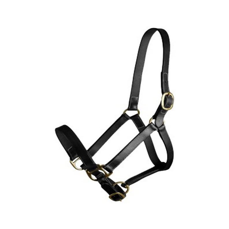 Gatsby Adj Turnout Halter No Snap Oversize