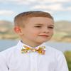 Spring Notion Boy's Cotton Floral Print Pre-tied Bow Tie, 68-Pink Yellow Medium view 3