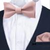 Adam Young Men's Rose Pastel Self Tie Bow Tie with Pocket Square Formal Satin Classy Bowtie for Tuxedo Faux Silk (Classic, Blush Pink) view 2