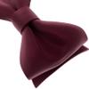 Adam Young Men's Wine Red Self Tie Bow Tie Formal Satin Classy Bowtie for Tuxedo Faux Silk (Classic, Maroon Red) view 3