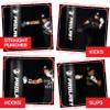 PROLAST Heavy Punching Kicking Bag for Adults, Boxing, MMA, Martial Arts, Muay Thai, Strength Training Equipment, Filled, 5ft, 100 lbs, Vertical Logo, Black view 2