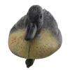 Esquirla Duck Decoy, PE Drake Decoy - 6 x Duck Decoy (3 Yellow) view 4