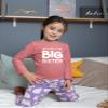 Promoted to Big Sister Shirt for Little Girls Toddler Baby Announcement Outfits (US, Age, 2 Years, Mauve - Long Sleeve) view 3