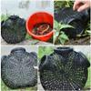 BESPORTBLE Crawfish Crab Fish: Plastic Mesh Fish Net Net Fish Catch Nets Fish Collection Bags Fishing Accessories for Crab Shrimp Lobster Fish Fishing Hand Crawfish Net Black Shrimp Pots view 3