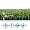 Griclner Pro Putting Green Artificial Grass Golf Turf - 6FTX61FT Indoor Outdoor Golf Training Mat, Astroturf Synthetic Fake Grass for Baseball Football Gym Sports view 3