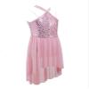FEESHOW Big Girls Mesh Open Back Lyrical Dance Dress Ballroom Dancing Costumes Leotard High Low Flowy Sheer Skirt C Pink 6 Years view 2