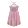 FEESHOW Big Girls Mesh Open Back Lyrical Dance Dress Ballroom Dancing Costumes Leotard High Low Flowy Sheer Skirt C Pink 14 Years view 1