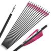 ZSHJGJR 28/30/31 Inch Archery Carbon Arrows Hunting Arrows with 4 Turkey Feather Removable Tips Targeting Practice Arrows 500 Spine for Compound & Recurve Bow 6/12Pack (12, Purple Red, 30 Inch) view 1