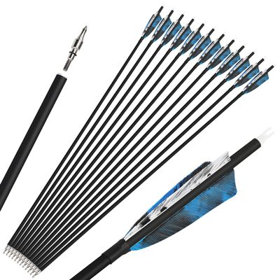 ZSHJGJR 28/30/31 Inch Archery Carbon Arrows Hunting Arrows with 4 Turkey Feather Removable Tips Targeting Practice Arrows 500 Spine for Compound & Recurve Bow 6/12Pack (12, Blue, 30 Inch)