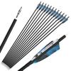 ZSHJGJR 28/30/31 Inch Archery Carbon Arrows Hunting Arrows with 4 Turkey Feather Removable Tips Targeting Practice Arrows 500 Spine for Compound & Recurve Bow 6/12Pack (12, Blue, 30 Inch) view 1