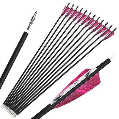 ZSHJGJR 28/30/31 Inch Archery Carbon Arrows Hunting Arrows with 4 Turkey Feather Removable Tips Targeting Practice Arrows 500 Spine for Compound & Recurve Bow 6/12Pack (12, Purple Red, 31 Inch)