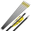 ZSHJGJR 28/30/31 Inch Archery Carbon Arrows Hunting Arrows with 4 Turkey Feather Removable Tips Targeting Practice Arrows 500 Spine for Compound & Recurve Bow 6/12Pack (12, Yellow, 31 Inch) view 4