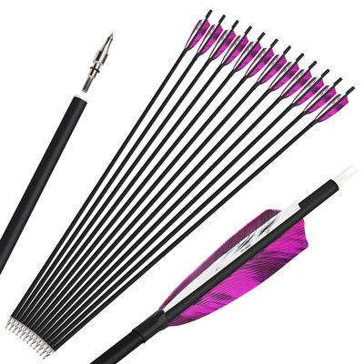 ZSHJGJR 28/30/31 Inch Archery Carbon Arrows Hunting Arrows with 4 Turkey Feather Removable Tips Targeting Practice Arrows 500 Spine for Compound & Recurve Bow 6/12Pack (12, Purple, 28 Inch)