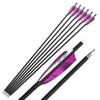 ZSHJGJR 28/30/31 Inch Archery Carbon Arrows Hunting Arrows with 4 Turkey Feather Removable Tips Targeting Practice Arrows 500 Spine for Compound & Recurve Bow 6/12Pack (12, Purple, 28 Inch) view 4