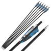 ZSHJGJR 28/30/31 Inch Archery Carbon Arrows Hunting Arrows with 4 Turkey Feather Removable Tips Targeting Practice Arrows 500 Spine for Compound & Recurve Bow 6/12Pack (12, Blue, 31 Inch) view 4