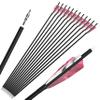 ZSHJGJR 28/30/31 Inch Archery Carbon Arrows Hunting Arrows with 4 Turkey Feather Removable Tips Targeting Practice Arrows 500 Spine for Compound & Recurve Bow 6/12Pack (12, Pink, 30 Inch) view 1