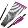 ZSHJGJR 28/30/31 Inch Archery Carbon Arrows Hunting Arrows with 4 Turkey Feather Removable Tips Targeting Practice Arrows 500 Spine for Compound & Recurve Bow 6/12Pack (12, Purple Red, 28 Inch) view 1