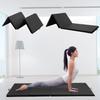 Tumbling Mats for Gymnastics for Home 4'X10'X2" Gym Exercise Pad with Carrying Handles Folding Exercise Mat for Yoga,Stretching,Workouts,Home Gym view 1