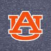 Little King Knobby NCAA Big Logo Toddler T-Shirt-Boys & Girls-Auburn-Heathered Navy-4T view 4