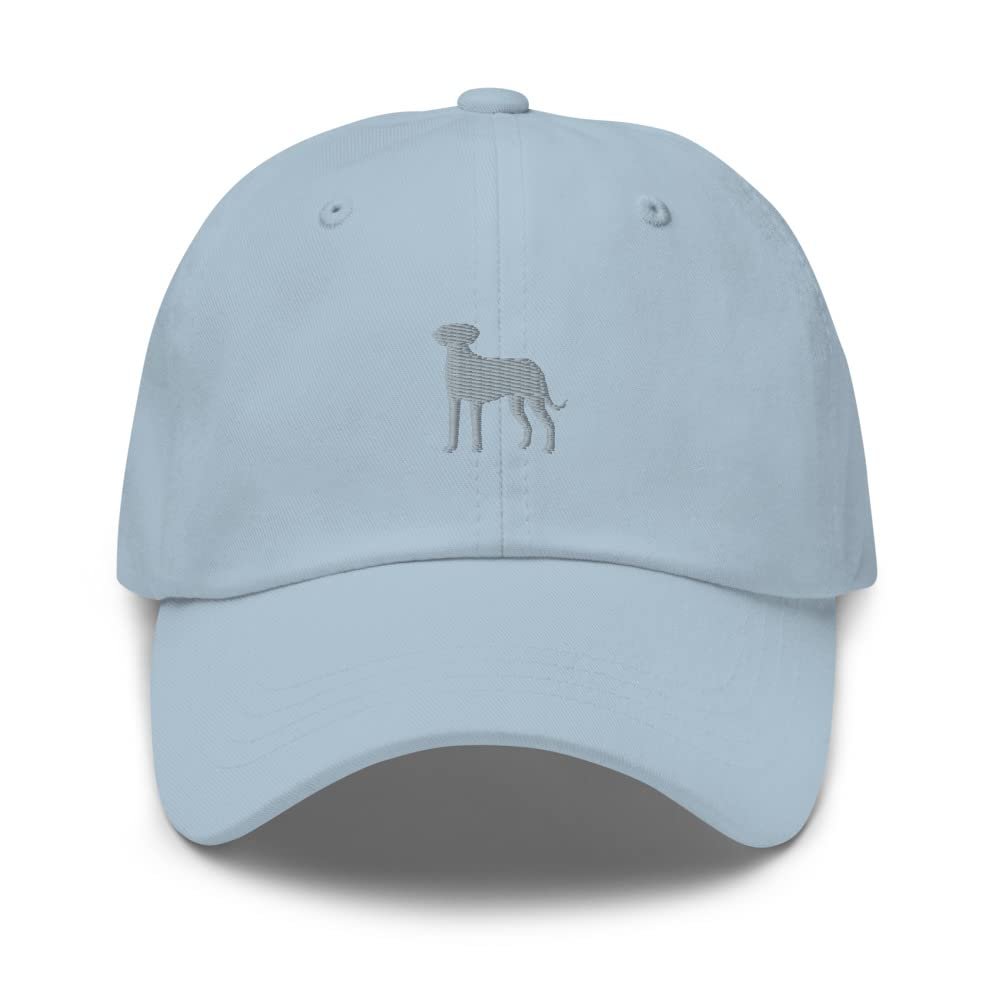 Great dane hat, Embroidered Unisex dad hat, Great dane mom hat, Great dane dad hat, Birthday Light Blue