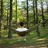 Camping Hammock, Double & Single Portable Hammock with Tree Straps, Lightweight Nylon Hammock Swing Set with Net and Rain Fly Tarp and Pocket for Backpacking Hiking Travel Outdoor(ArmyGreen1) view 4