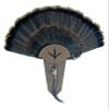 Turkey Track Turkey Tail Mounting Kit w/Beard and Spur Display Options - Customizeable view 1