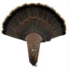 Turkey Track Turkey Tail Mounting Kit w/Beard and Spur Display Options - Customizeable view 2