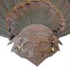 Unique "Skull of the Hunter" Turkey Display for Fan, Beards, and Spurs (Satin) view 3