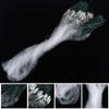 Alvinlite Fishing Net, Nylon Gill Net with Float Fish Trap Monofilament Gill Net Netting Tackle Cast Net1m x 20m(3 Finger) view 4