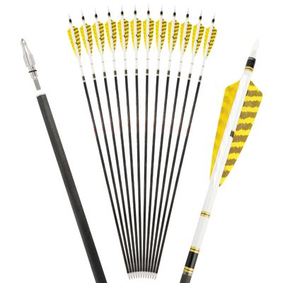 6/12 Pack 30 Inch Pure Carbon Hunting Arrow Spine 250/300/350/400/500/600 Target Practice Arrows with 4" Turkey Feathers and 100 Grain Field Points for Recurve&Compound Bow (Spine 300, 12 pcs)
