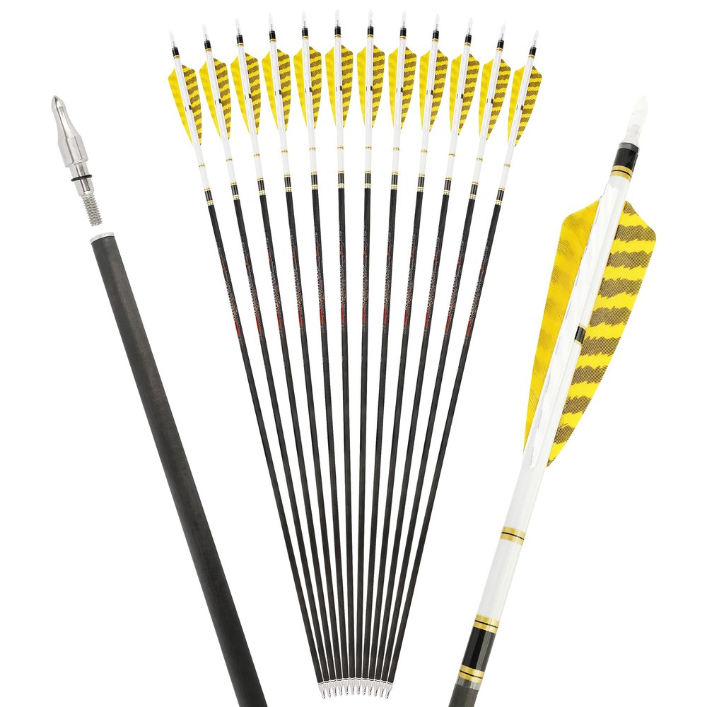 6/12 Pack 30 Inch Pure Carbon Hunting Arrow Spine 250/300/350/400/500/600 Target Practice Arrows with 4" Turkey Feathers and 100 Grain Field Points for Recurve&Compound Bow (Spine 300, 12 pcs)