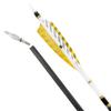 6/12 Pack 30 Inch Pure Carbon Hunting Arrow Spine 250/300/350/400/500/600 Target Practice Arrows with 4" Turkey Feathers and 100 Grain Field Points for Recurve&Compound Bow (Spine 300, 12 pcs) view 4