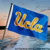 Bruins Small 2x3 Foot Flag view 4