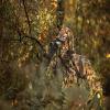 ScentLok Savanna Lightweight Camo Shooter Gloves for Hunting and Outdoor Use (Realtree Excape, X-Small) view 2