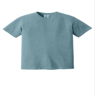 Comfort Colors Men's Adult Short Sleeve Tee, Style 1717 (Medium, Ice Blue/Navy)