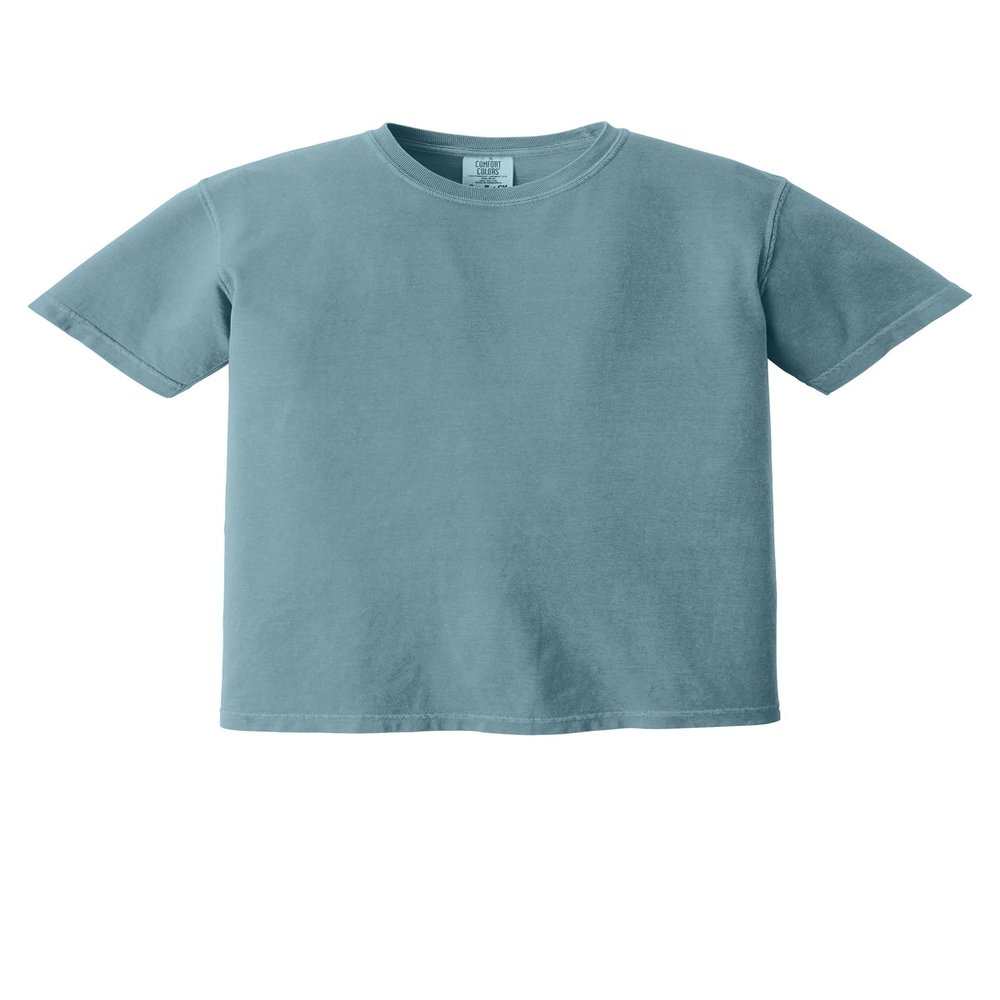 Comfort Colors Men's Adult Short Sleeve Tee, Style 1717 (Medium, Ice Blue/Navy)