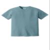 Comfort Colors Men's Adult Short Sleeve Tee, Style 1717 (Medium, Ice Blue/Navy) view 1
