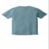 Comfort Colors Men's Adult Short Sleeve Tee, Style 1717 (Medium, Ice Blue/Navy) view 2