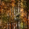 ScentLok Stealth Midweight Fleece Scent Control Camo Hunting Jacket for Men (Mossy Oak Country DNA, 3X-Large) view 4