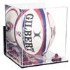 Better Display Cases Acrylic Rugby Ball Display Case Vertical with Mirror Case, Purple Risers , Wall Mount and Mirror Base (B42/A060) view 1