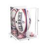 Better Display Cases Acrylic Rugby Ball Display Case Vertical with Mirror Case, Pink Risers and Mirror Base (B42/A060) view 2