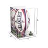 Better Display Cases Acrylic Rugby Ball Display Case Vertical with Mirror Case, Green Risers and Mirror Base (B42/A060) view 2