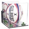 Better Display Cases Acrylic Rugby Ball Display Case Vertical with Mirror Case, Green Risers , Wall Mount and Mirror Base (B42/A060) view 1